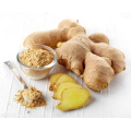 Qualified Fresh Ginger for EU 150g up in PVC Box